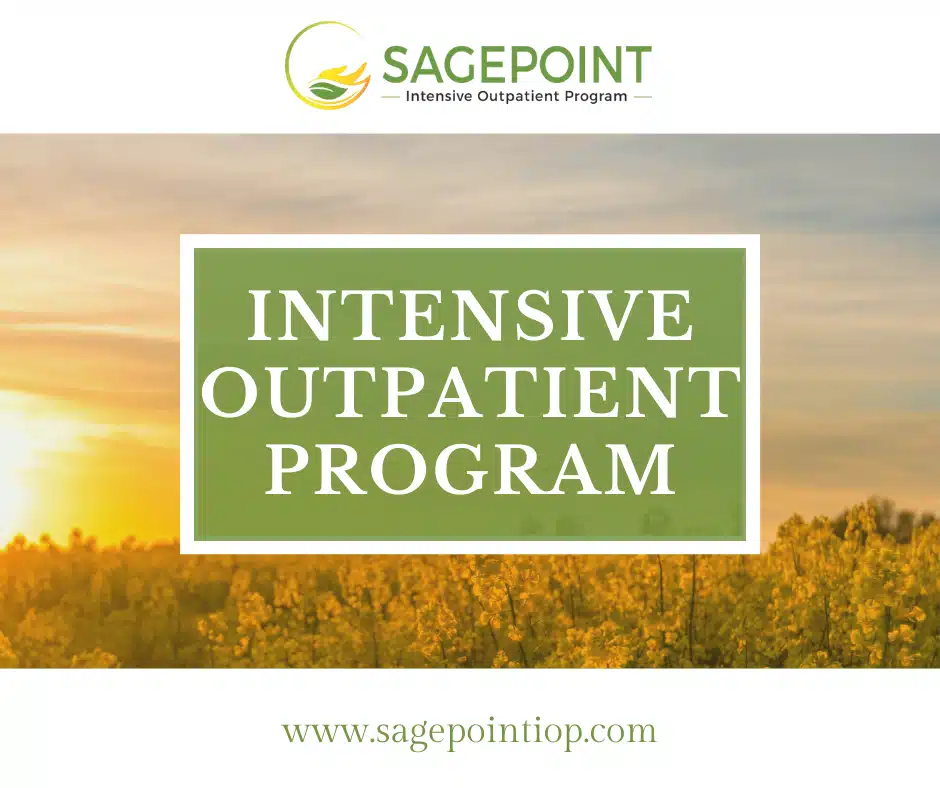 SagePoint Intensive Outpatient Program - Preview